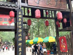 -合肥滨湖国家森林公园