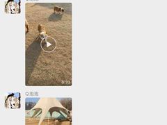 -趣玩宠物乐园寄养训犬训狗游泳池