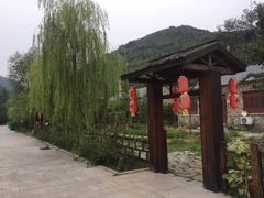 -黄花溪