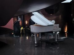-皇冠明珠鱼翅楼(水上公园店)