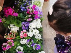 -双季花艺园艺市场(浦东店)