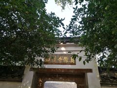 -西湖风景区十里琅珰-五云山