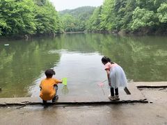 -青龙山国家森林公园