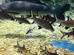 -成都浩海立方海洋公园