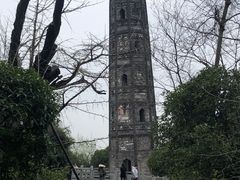 -上海佘山国家森林公园天马山园