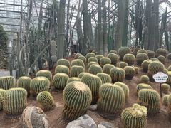 -南山植物园