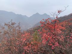 -水峪民俗村