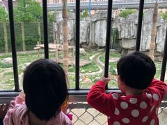 -野生动物园-停车场