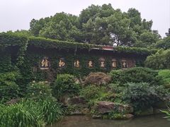 -中国茶叶博物馆(双峰馆区)
