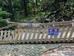 -广州长隆飞鸟乐园