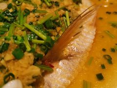 -金苑海鲜酒家(来魅力店)