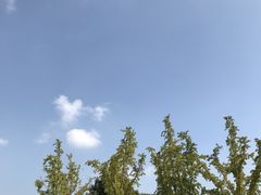 -白塘生态植物园