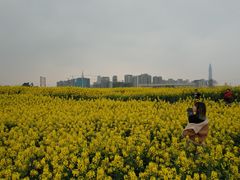 -白鹭湾湿地公园