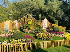 -上海共青森林公园