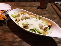 -百好乐宠物友好餐厅(朝外大街店)