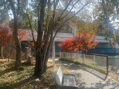 -新江湾城公园