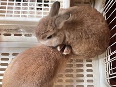 -懒鱼时光馆(沙坪坝店)