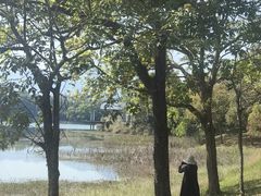 -福建鲤鱼洲酒店