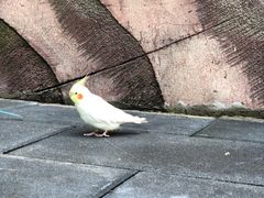 -贵州森林野生动物园