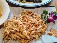 -食鸡公社辣子鸡·潍坊菜·烧烤