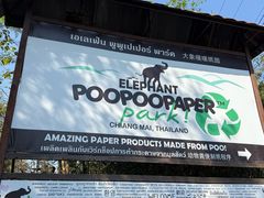 -大象粑粑造纸公园