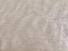 -南汇新城海滩