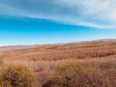 -塞罕坝国家级自然保护区