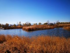 -野鸭湖国家湿地公园