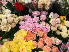 -桂林市花鸟市场