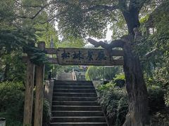 -香山公园