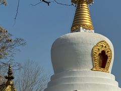 -护国法轮寺