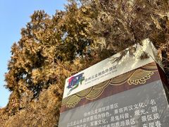 -云龙山