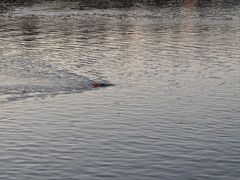 -南大门韩国米糕(公滨路店)