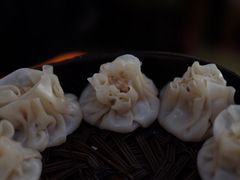 -枫泾丁氏烧卖(枫丽路店)