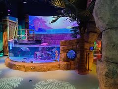 -沈阳海洋探索中心