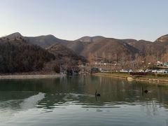 -静之湖湖畔餐厅