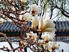 -济南大明湖景区