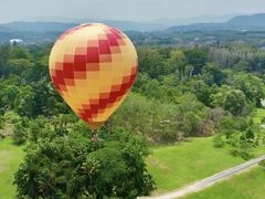 -中国科学院西双版纳热带植物园