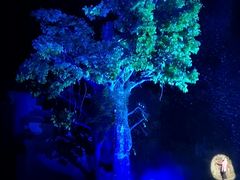 -婺源梦里老家大型山水实景演出