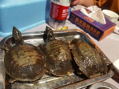 -虎子烧烤(湘江北路店)