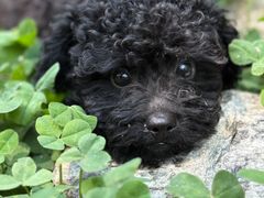 -卤儿道道(龙游路店)