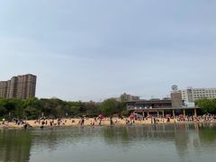 -青枫公园