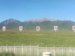 -山丹皇家马场