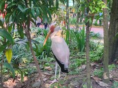 -吉隆坡雀鸟公园