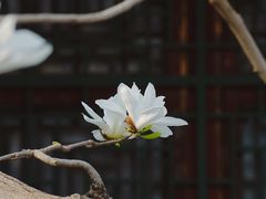 -颐和园