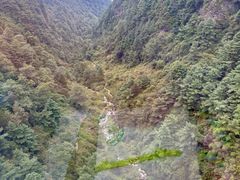 -苍山感通索道