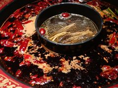 -矮板凳老火锅(宽窄巷子店)