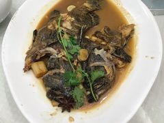 清蒸青斑鱼-双井轩(双井店)