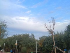 -长春公园(普阳街道)