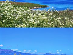 -赛里木湖风景名胜区